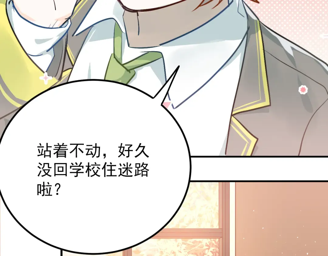 第219页