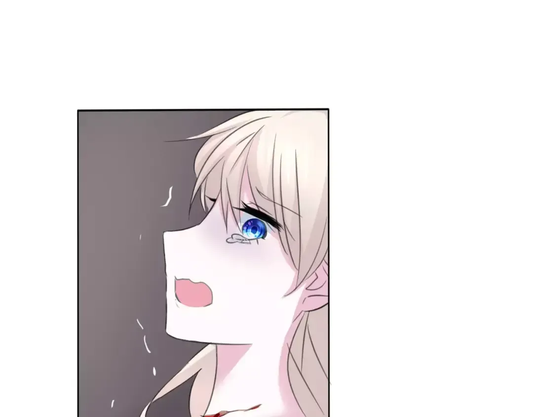 第243页