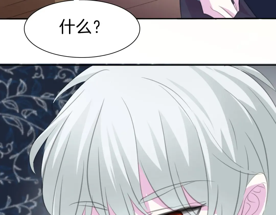 第204页
