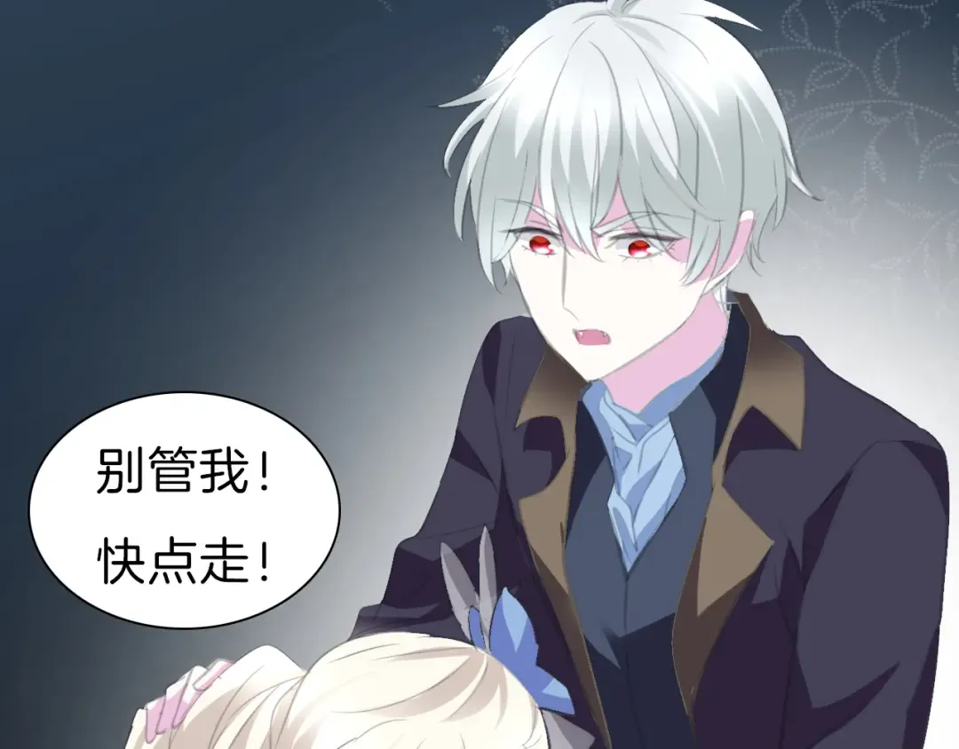 第231页