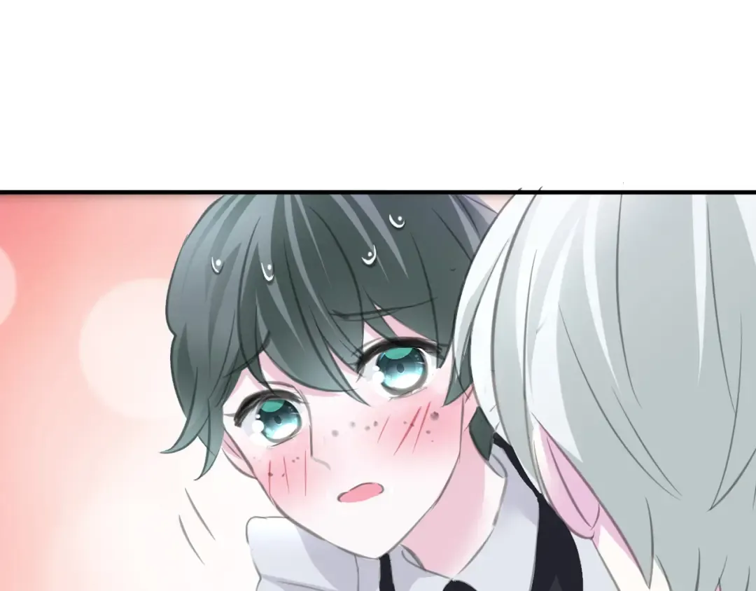 第240页