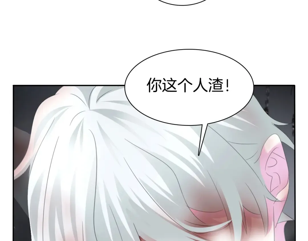 第258页