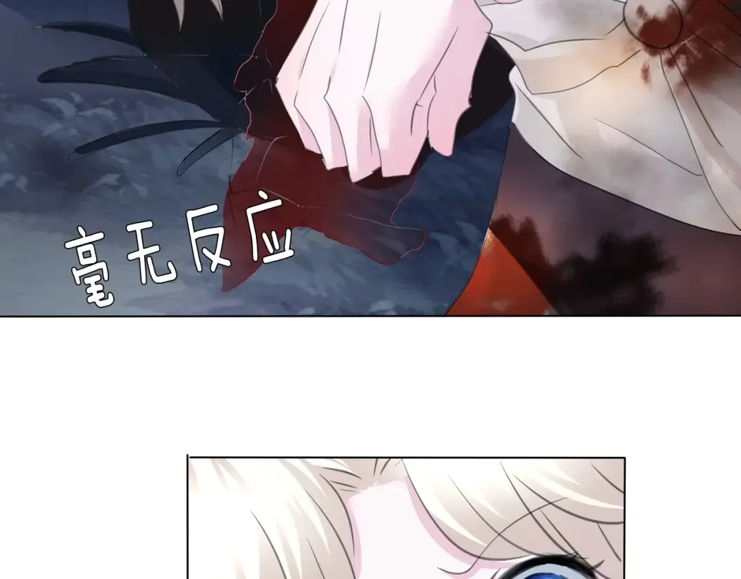 第216页