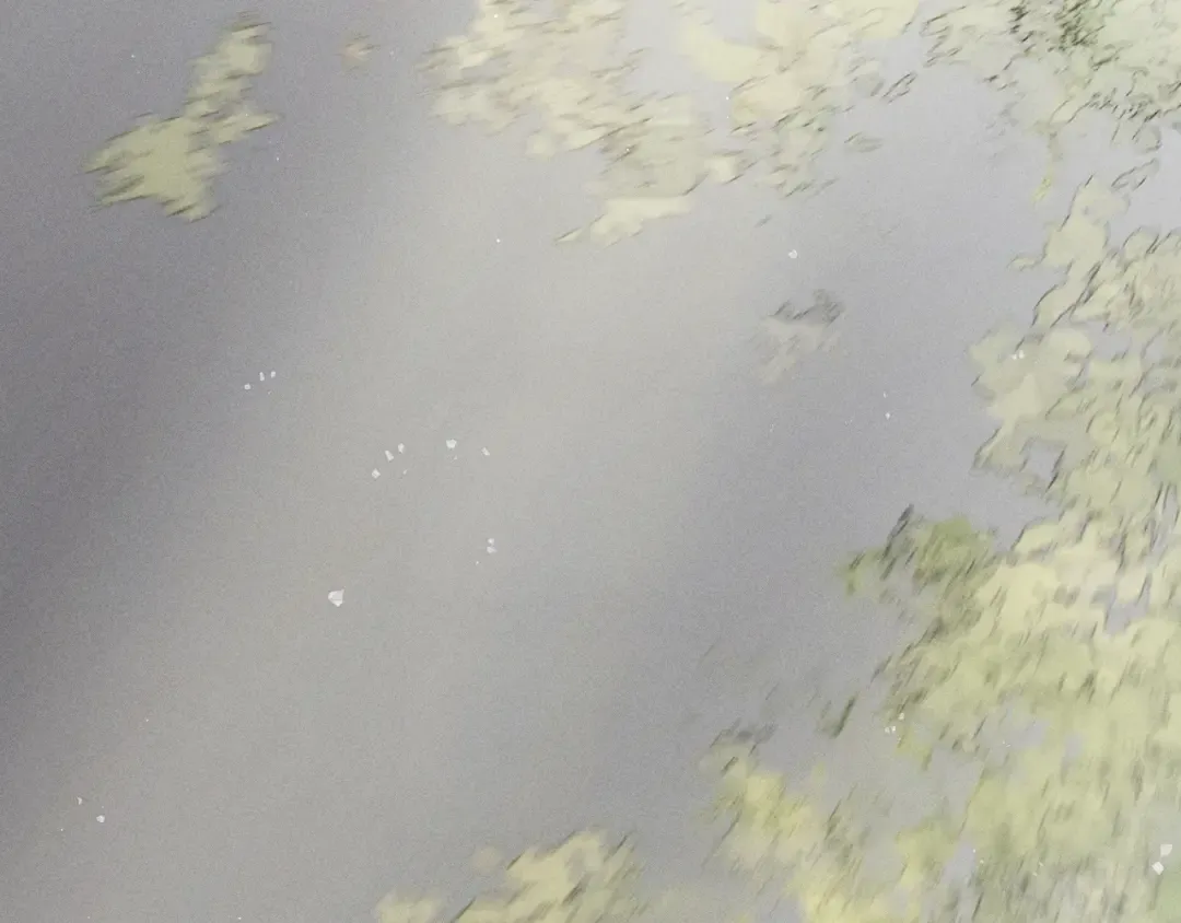 第378页