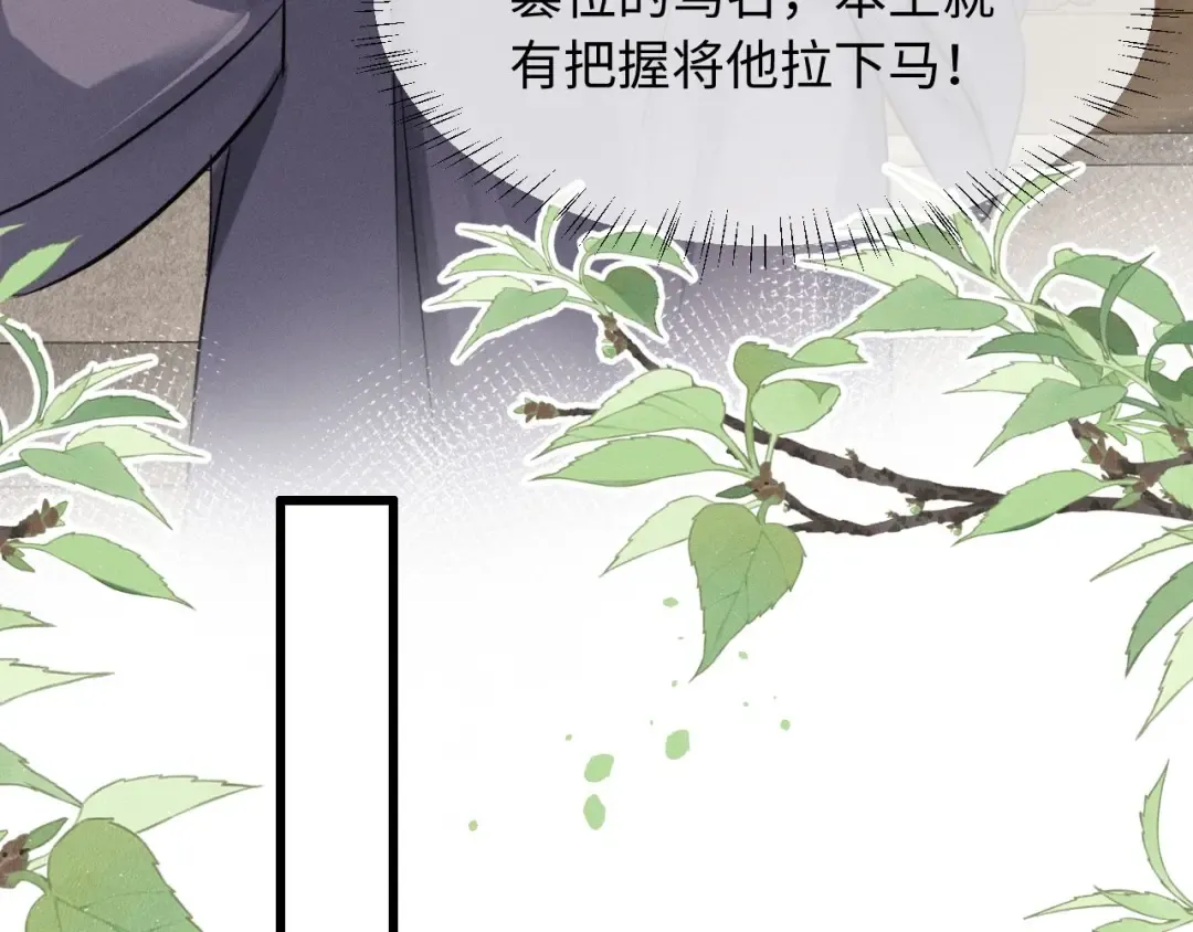 第204页