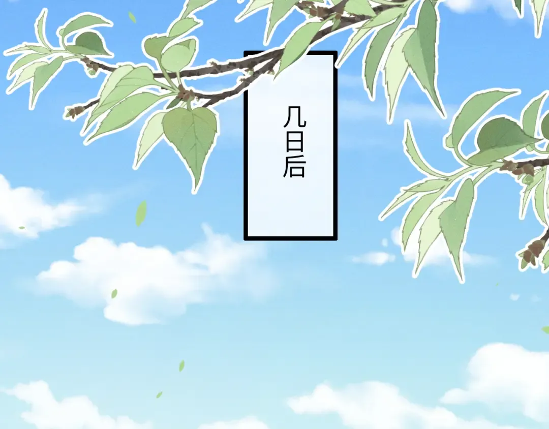 第204页