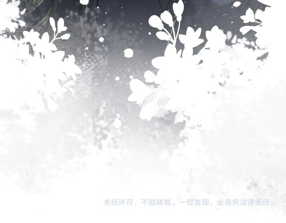 第291页