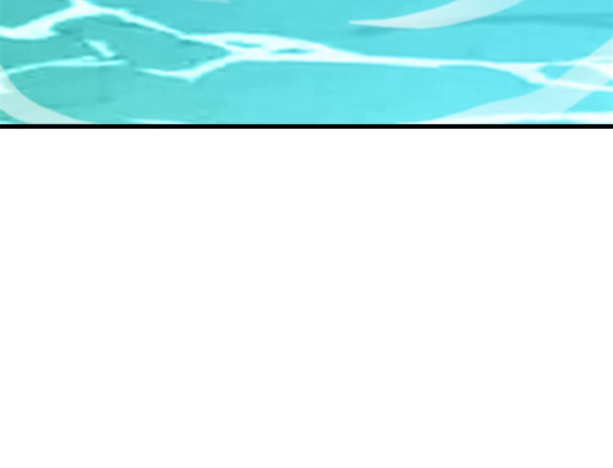 第336页