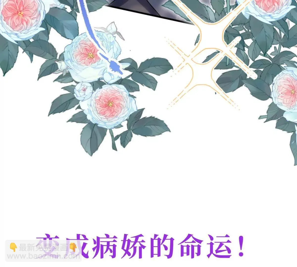 第426页