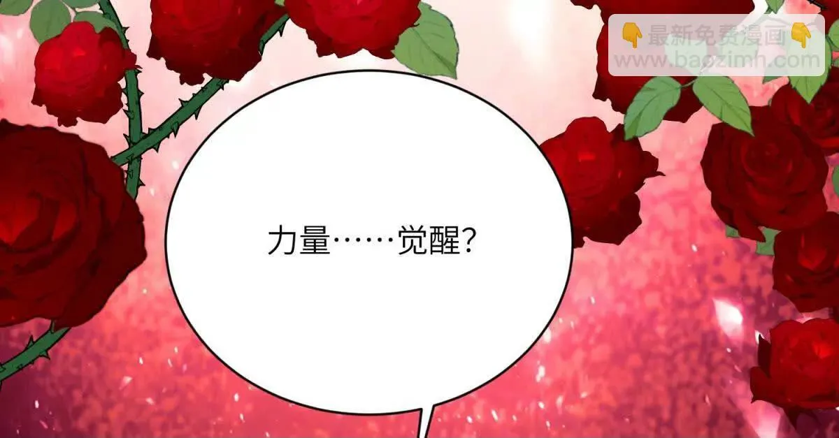 第447页