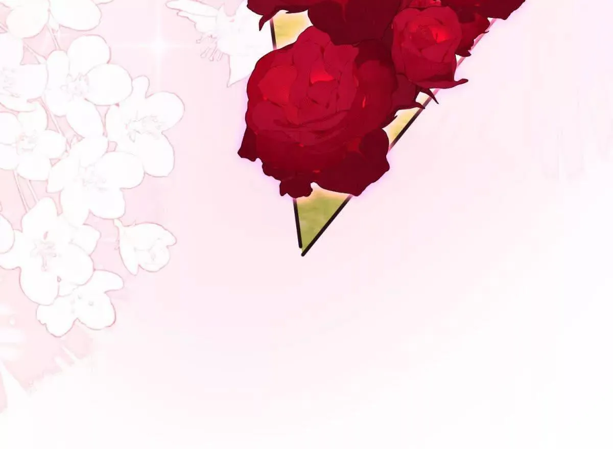 第255页
