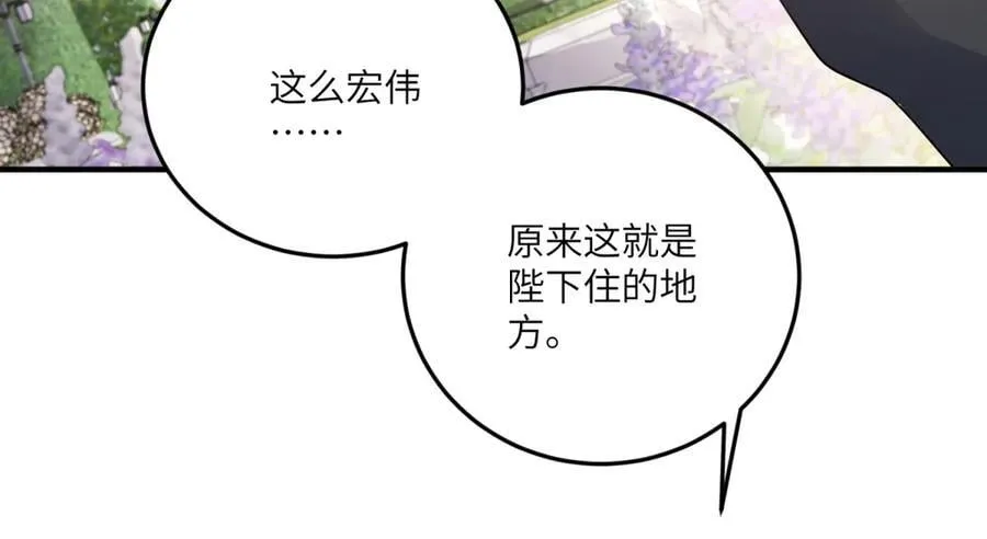 第258页