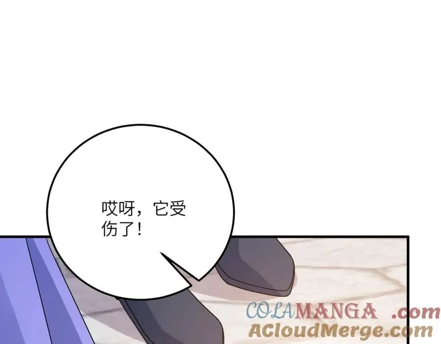 第300页