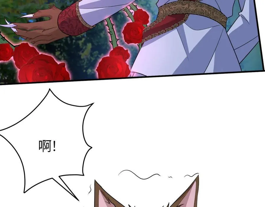第282页