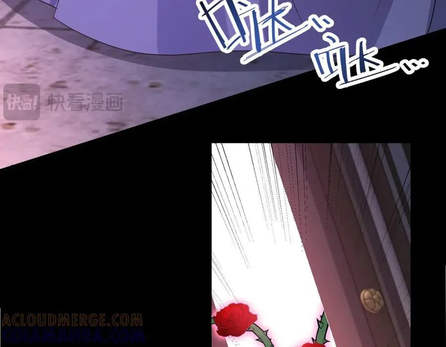 第216页