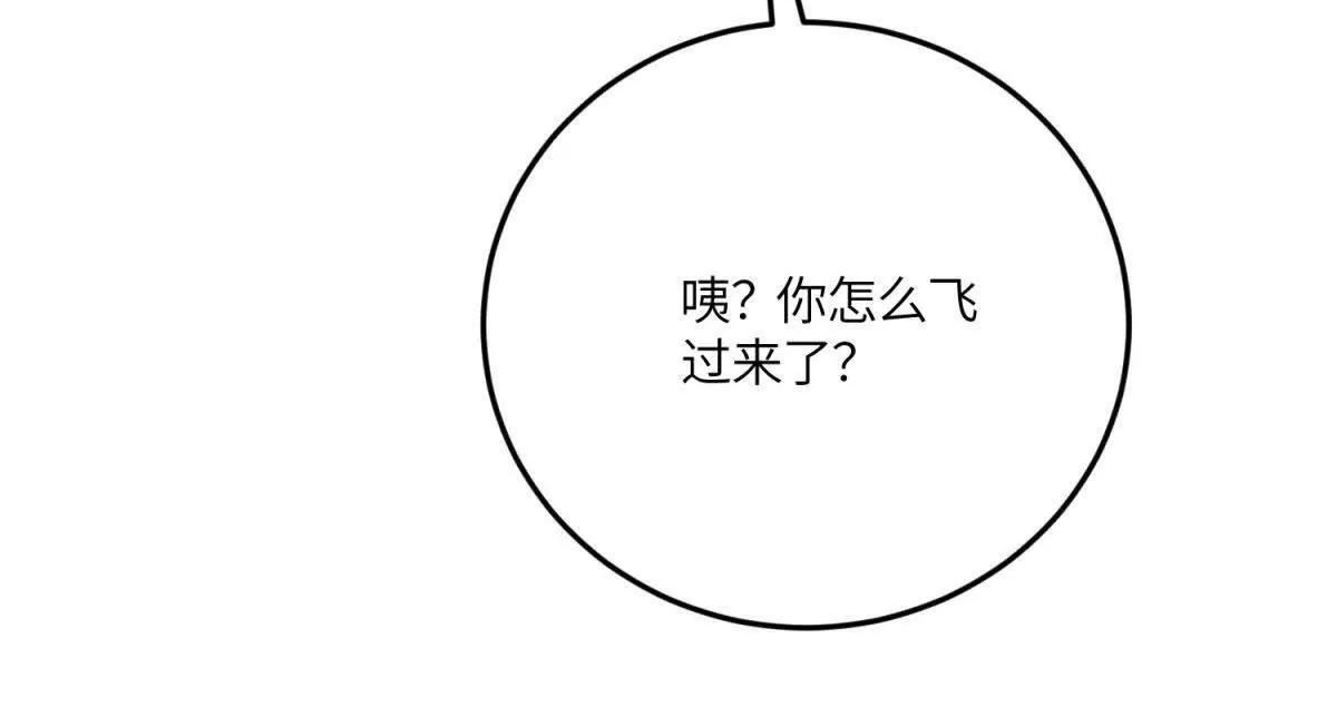 第360页