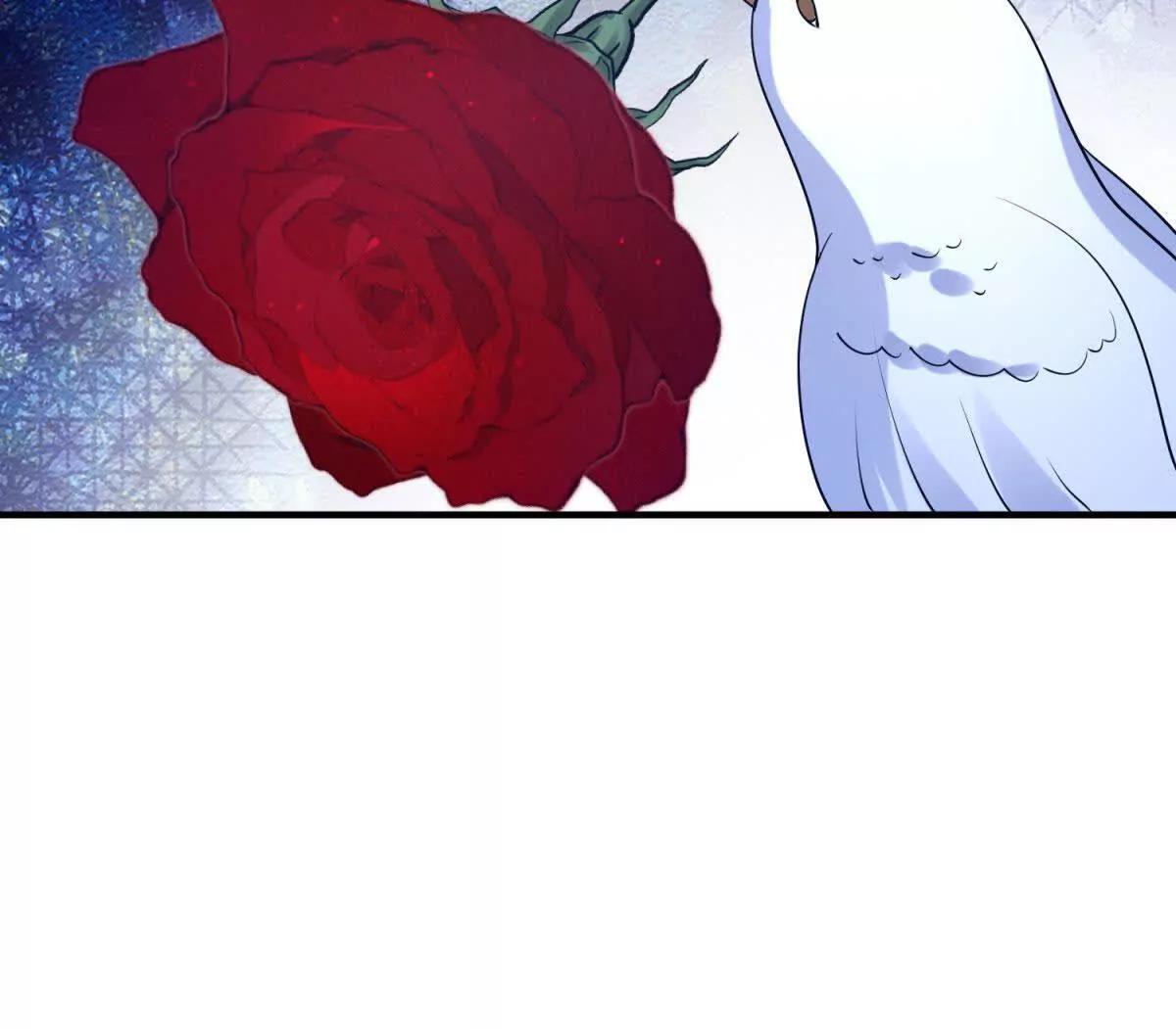 第228页
