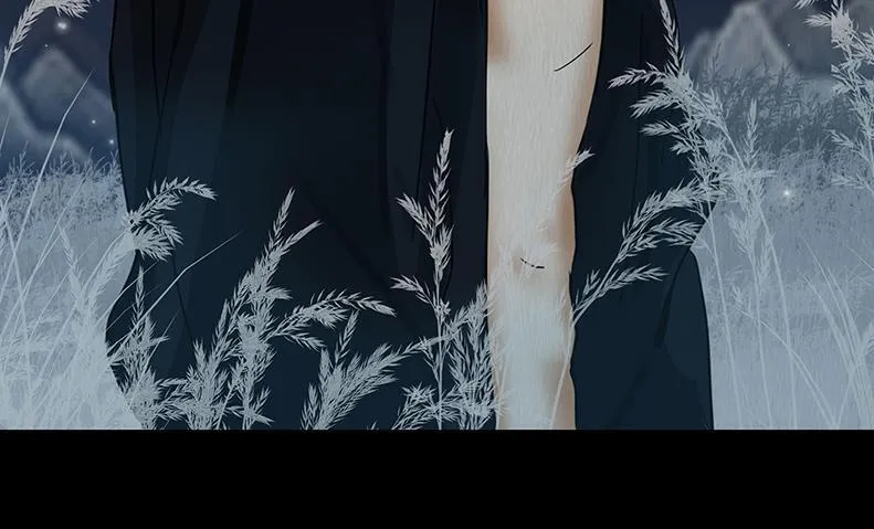 第255页
