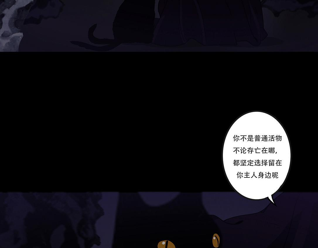 第243页