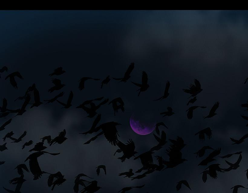第156页