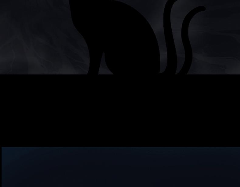 第243页