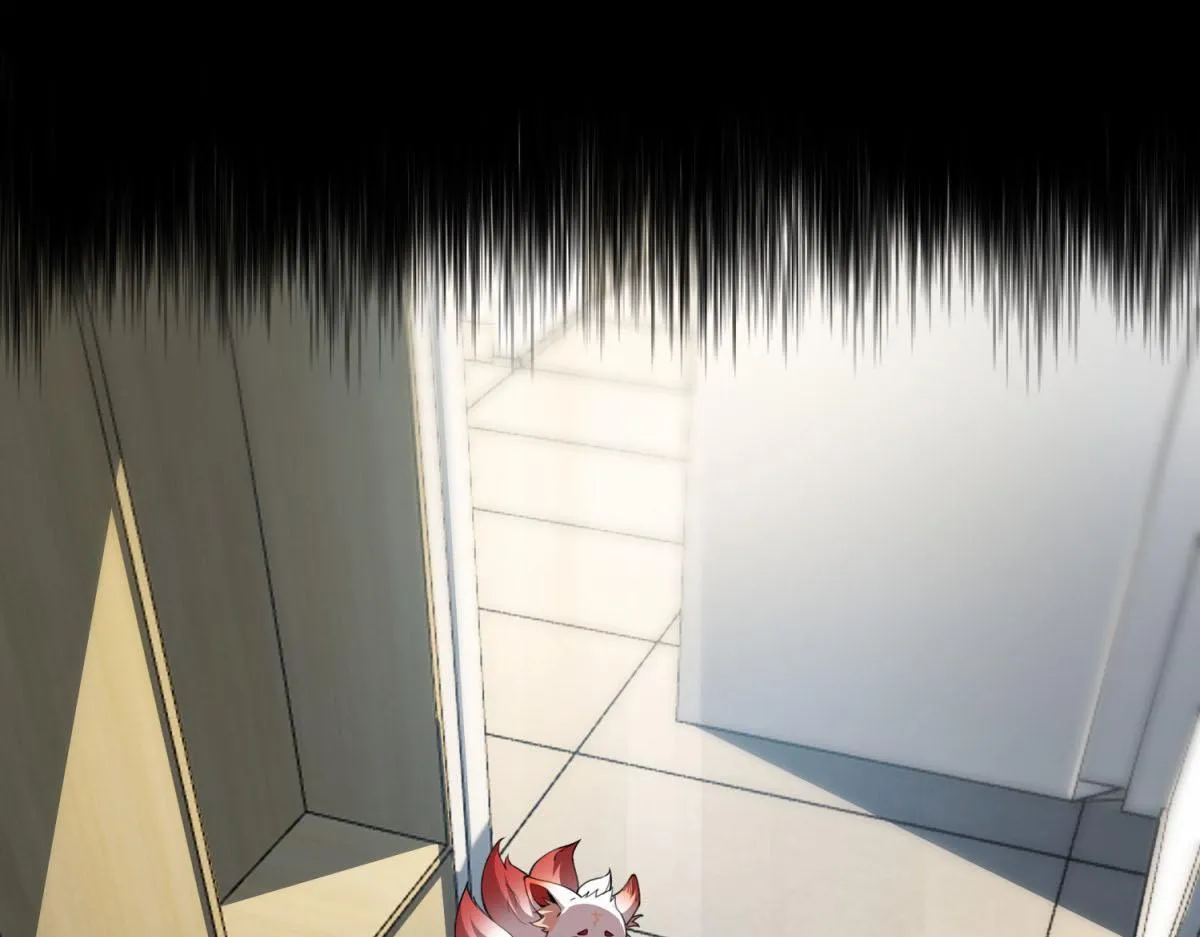 第282页
