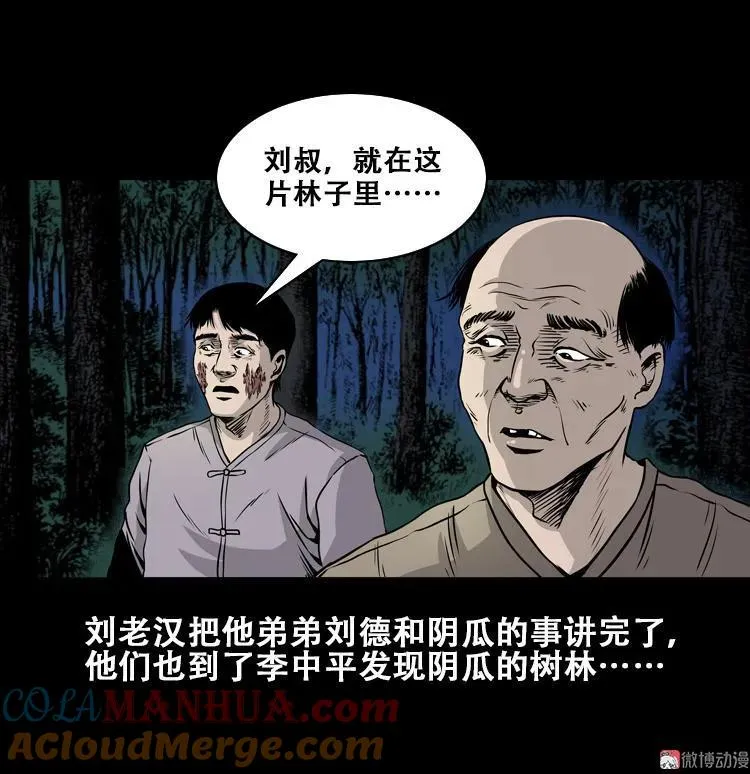 第243页