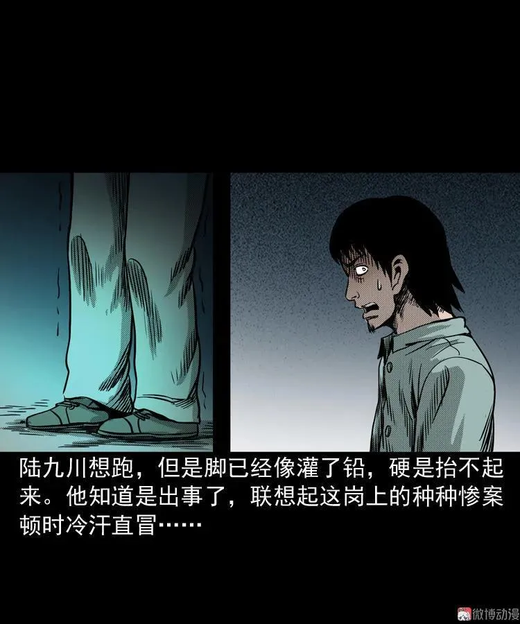 第231页