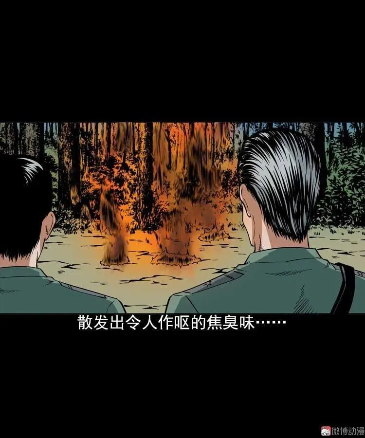 第204页