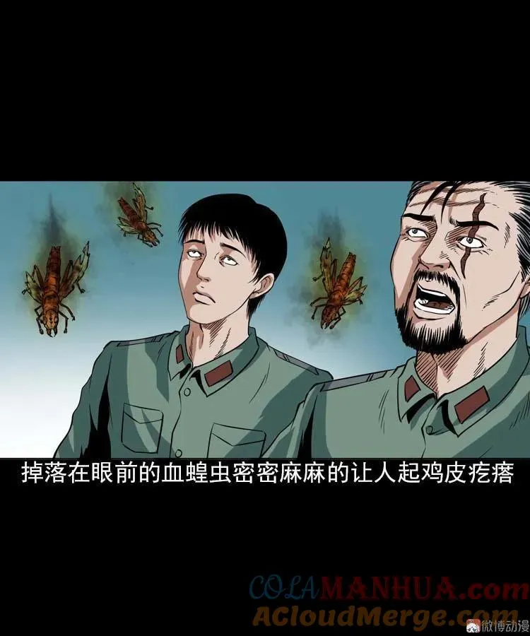 第207页