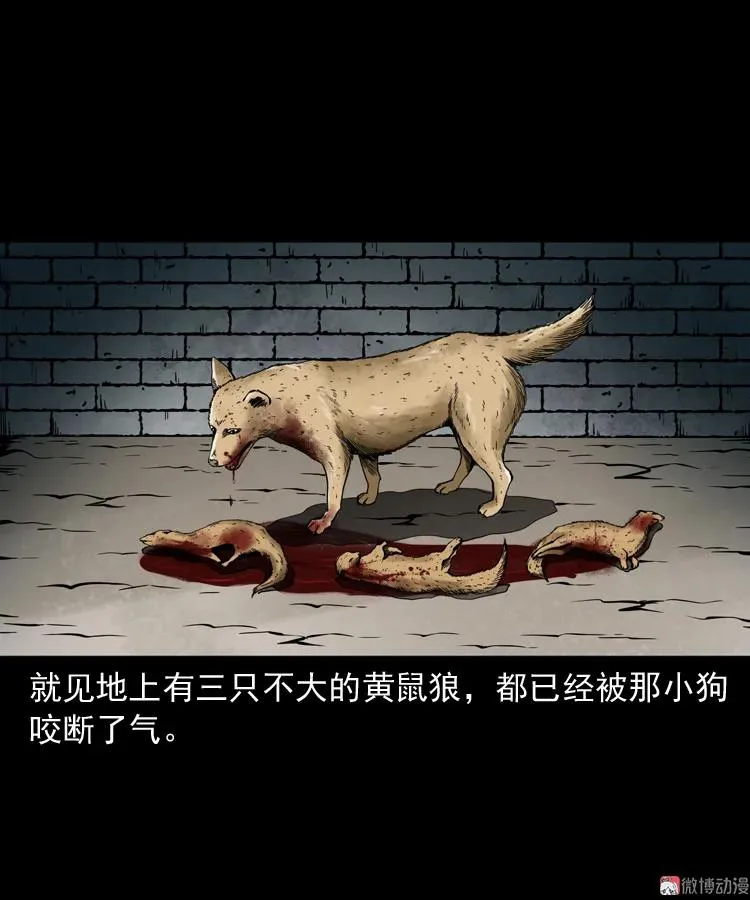 第210页