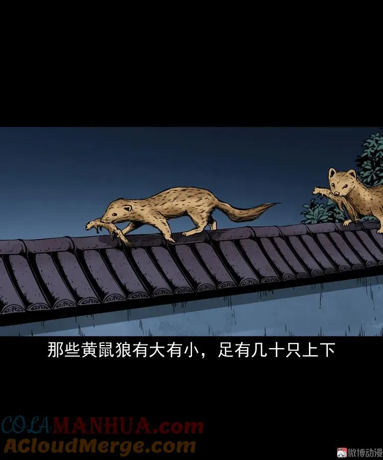 第234页