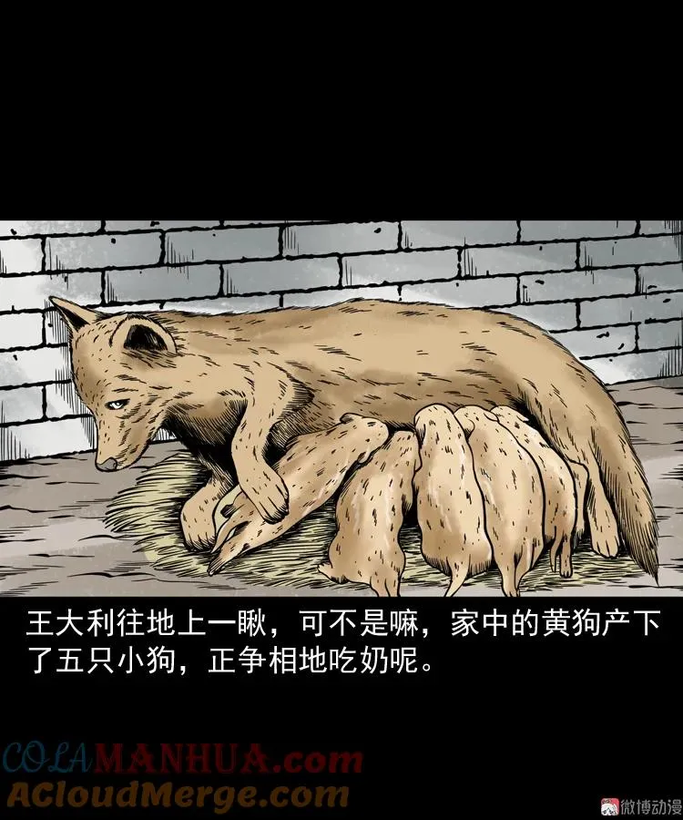 第171页