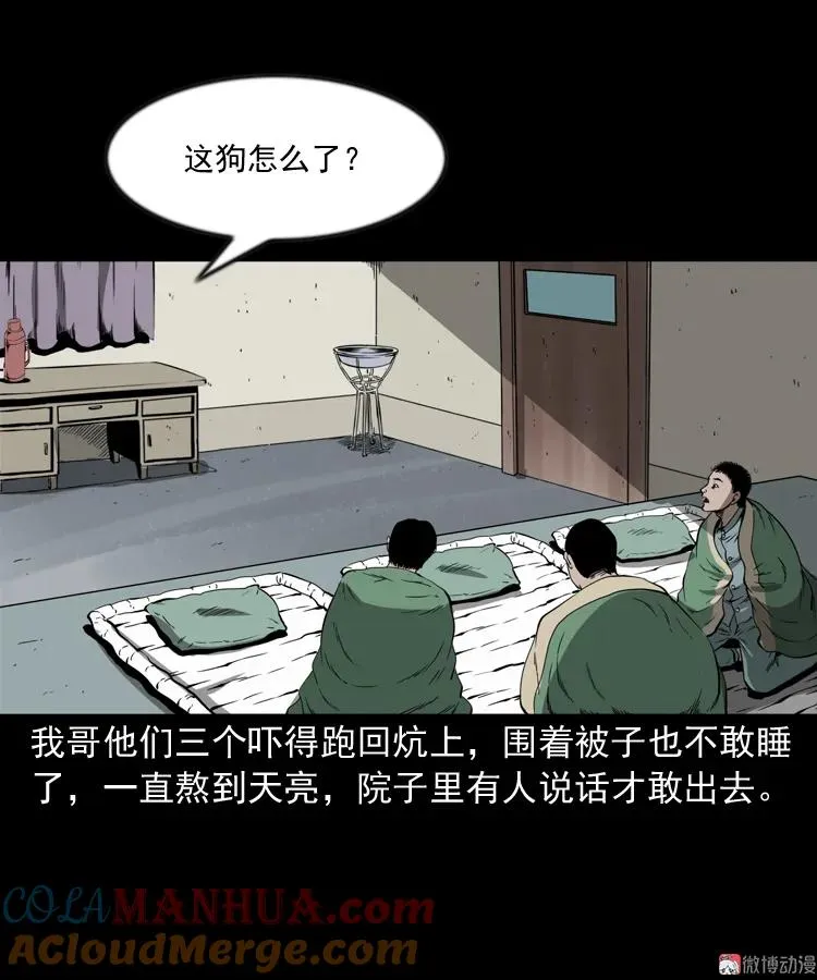 第243页