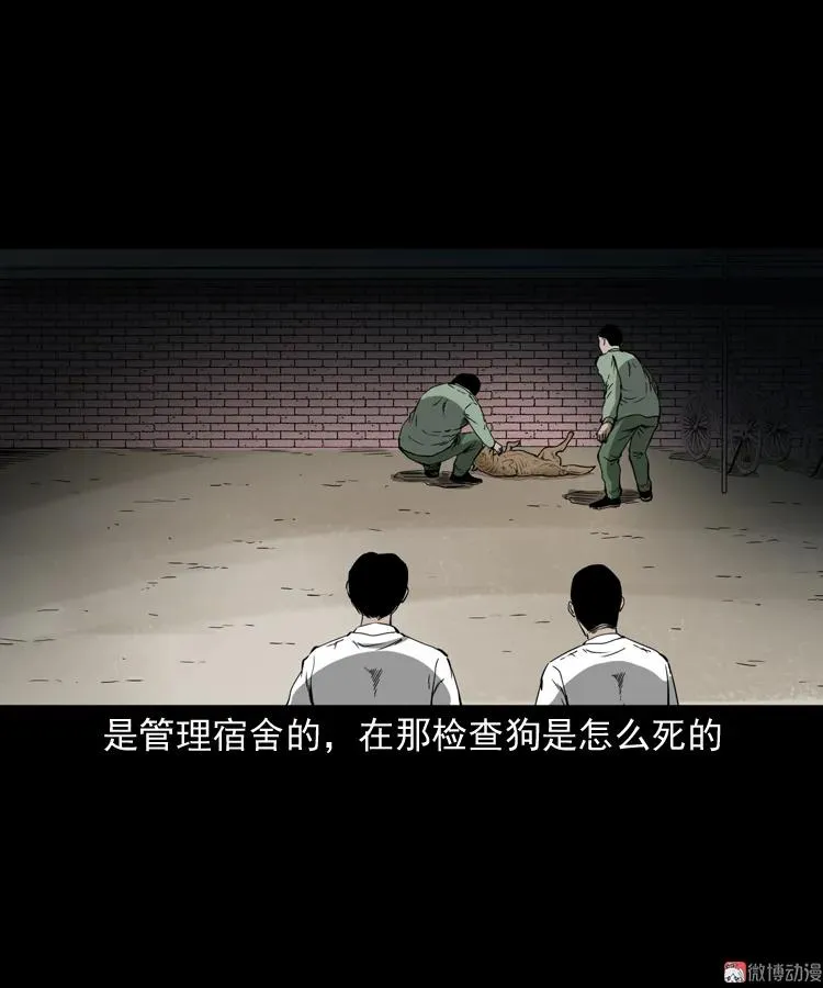 第246页