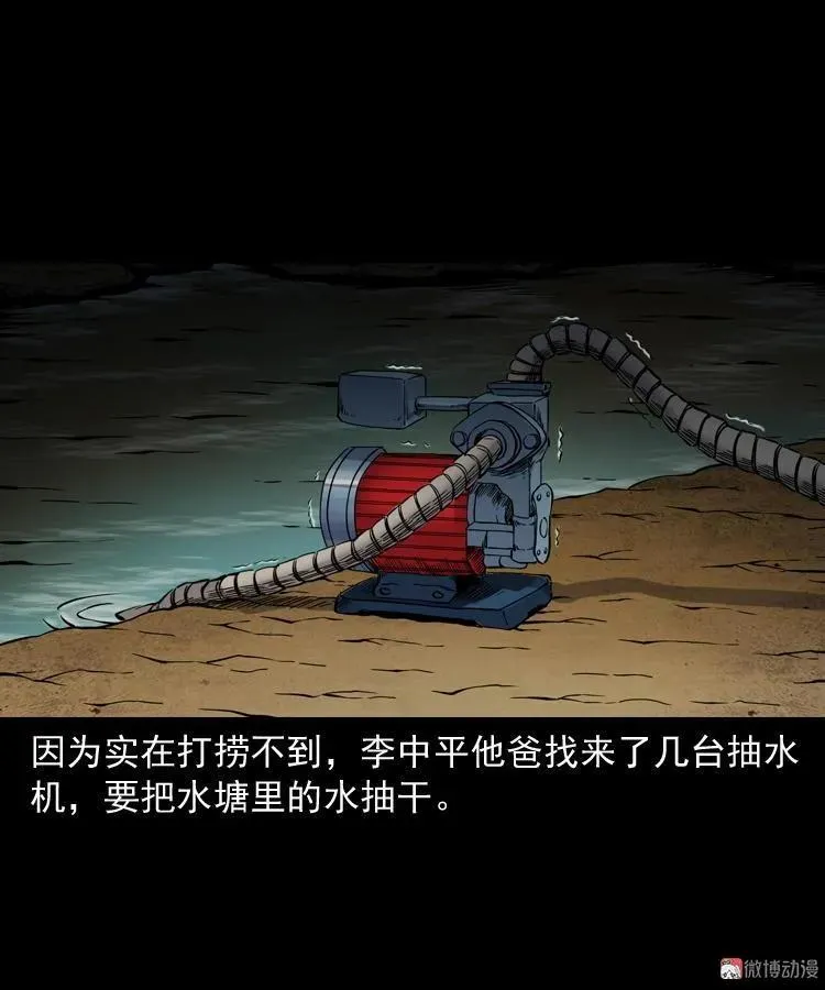 第204页