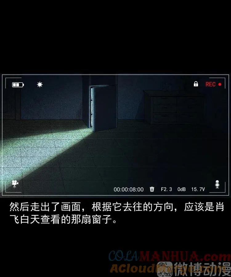 第204页