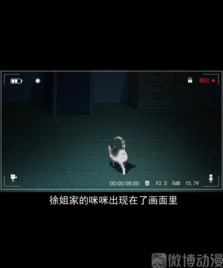 第195页