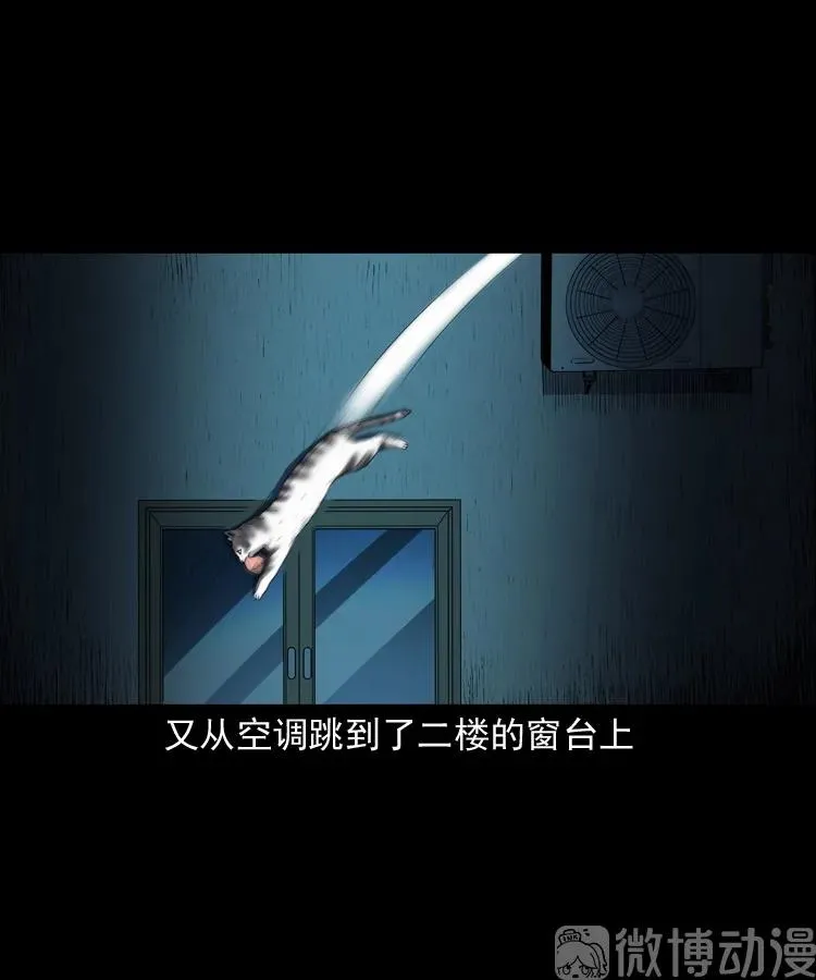 第213页