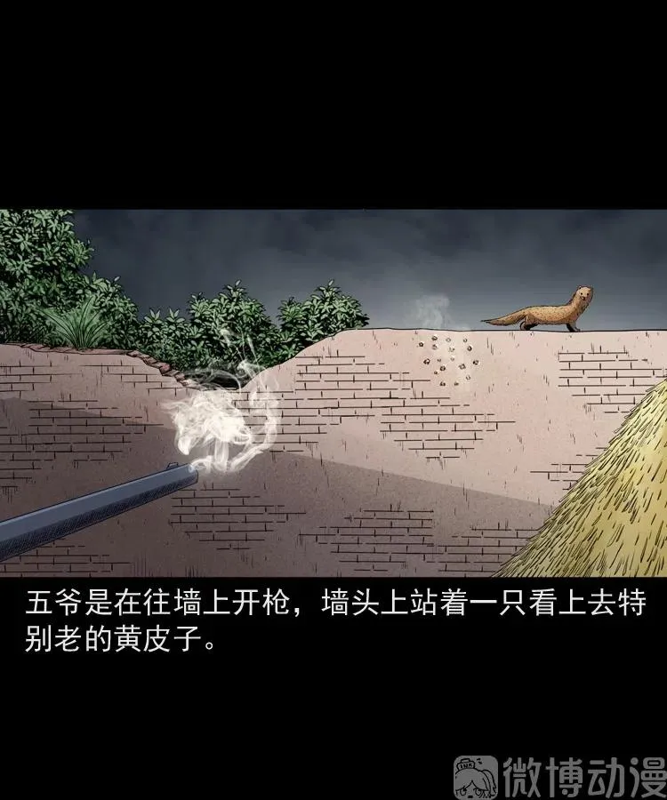 第204页