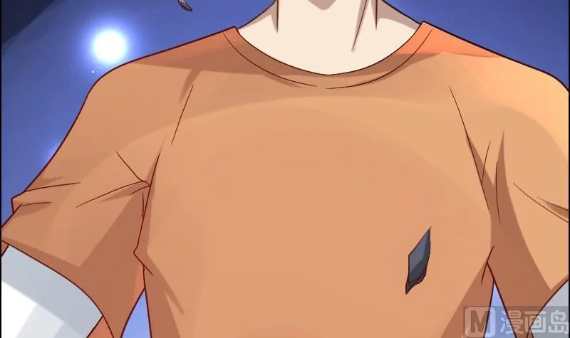 第204页