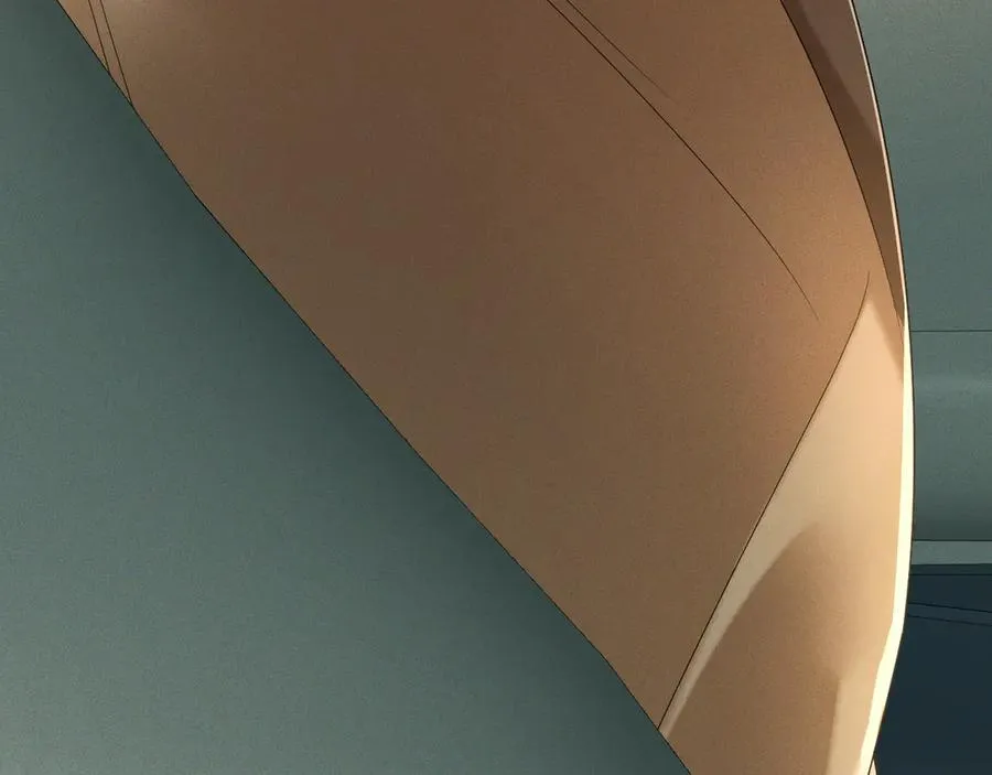 第447页