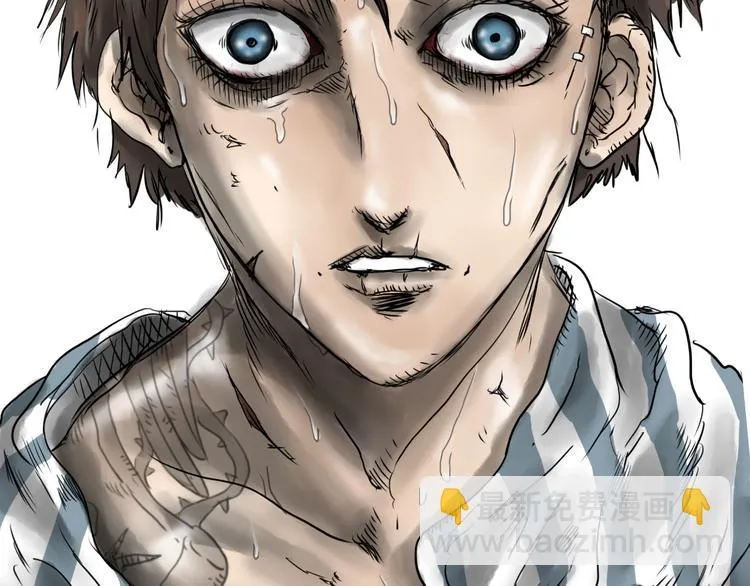 第213页