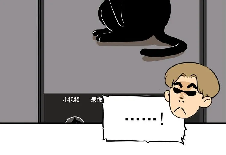 第267页
