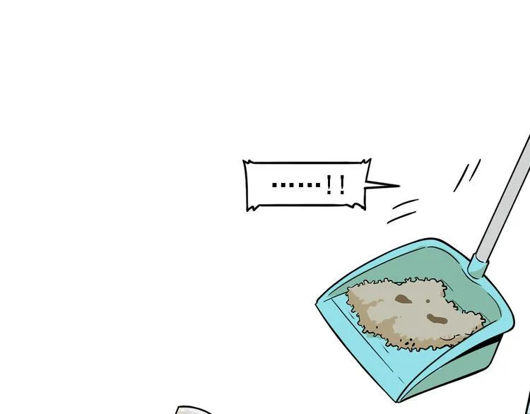 第264页