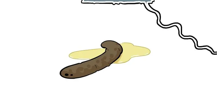 第243页