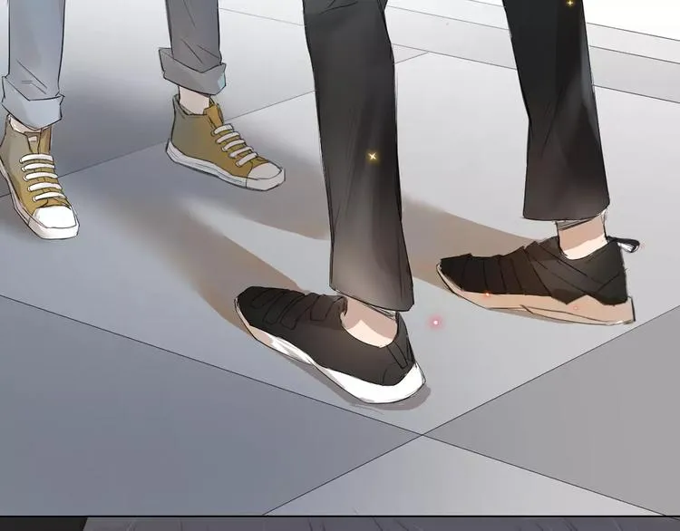 第204页