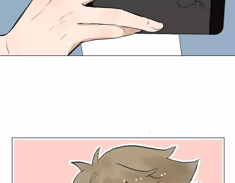 第222页