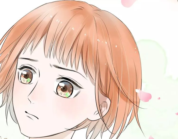 第246页