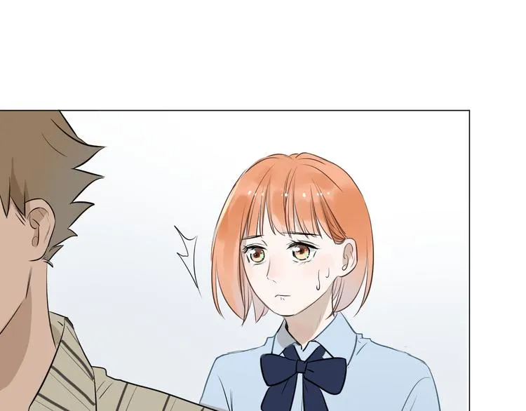 第333页